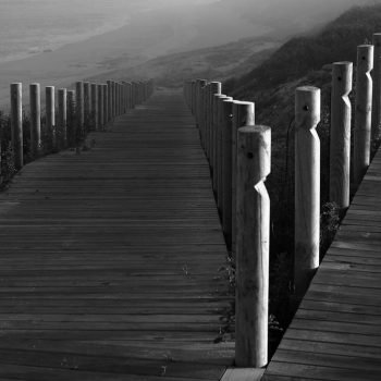 La incerteza como una constante en la contratación pública. La reconsideración de criterios legales de la Contraloría, casos de patentes y prohibiciones, y el reglamento a la nueva Ley General de Contratación Pública.