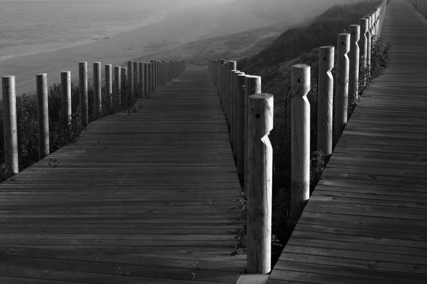 La incerteza como una constante en la contratación pública. La reconsideración de criterios legales de la Contraloría, casos de patentes y prohibiciones, y el reglamento a la nueva Ley General de Contratación Pública.